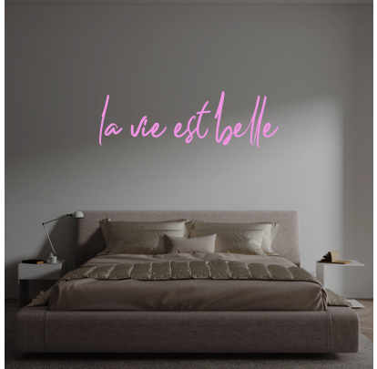 Custom text: la vie est belle